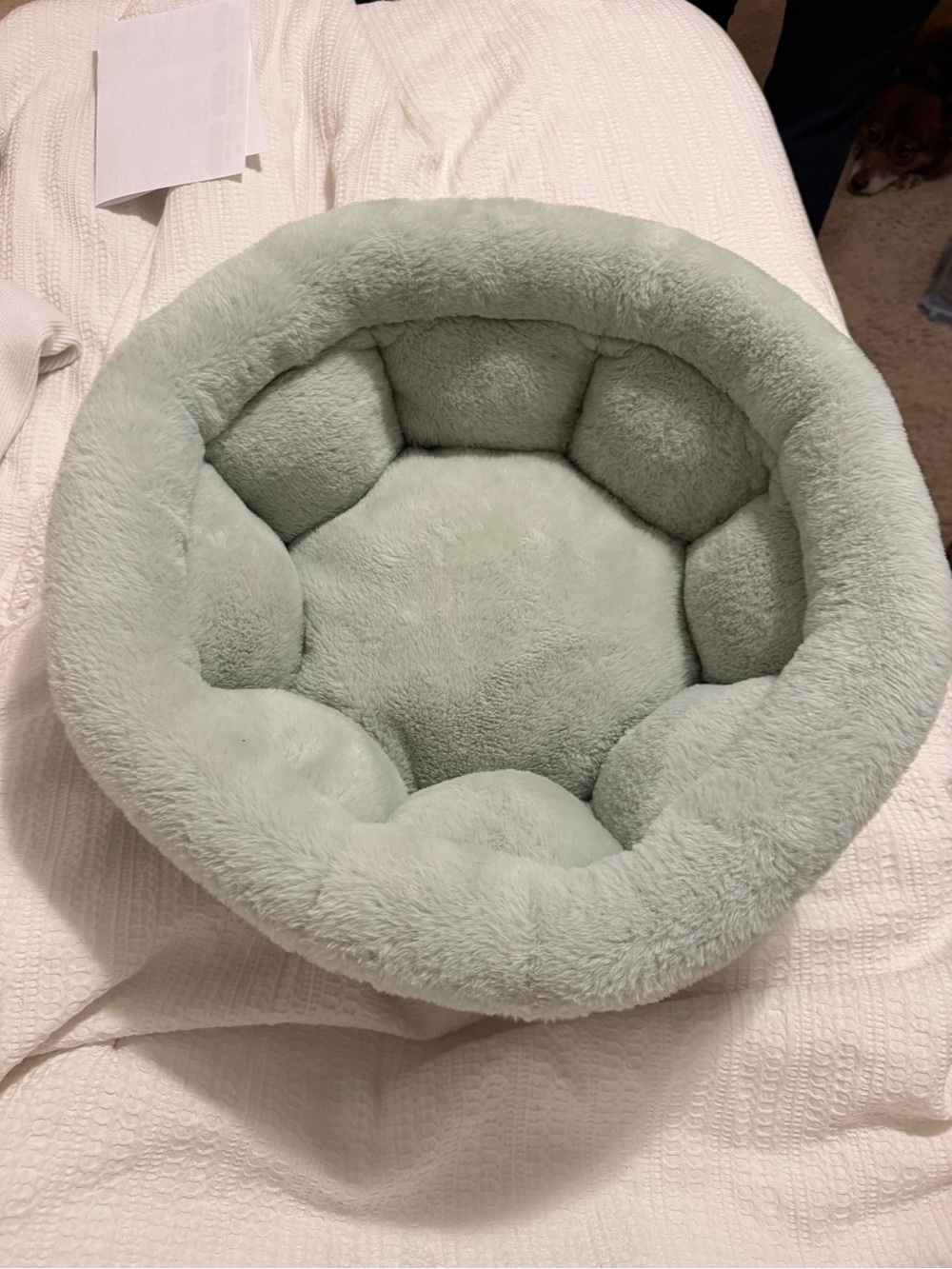 Martha Stewart Plush Round Pet Bed in Pale Green